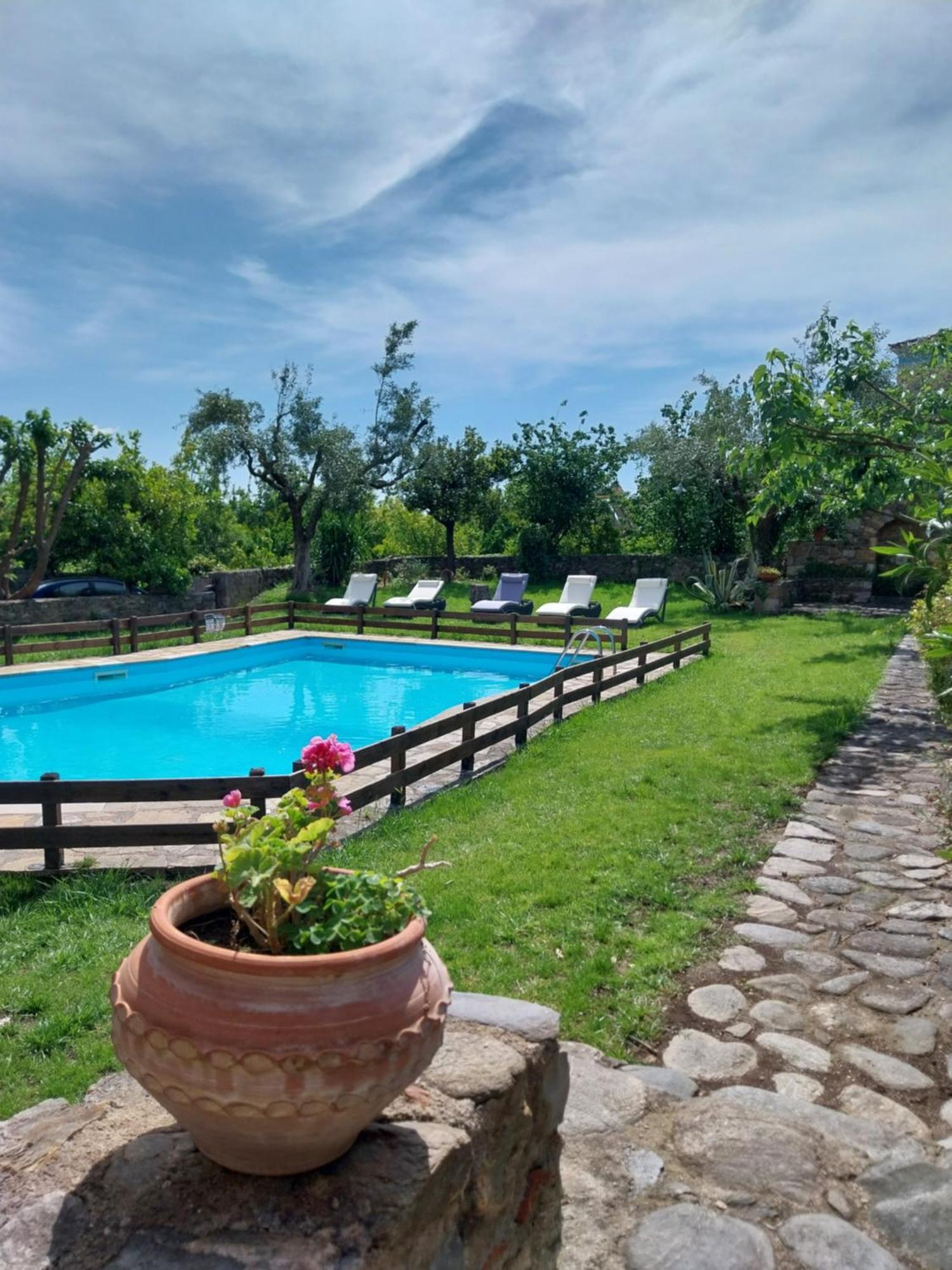 Byzantion Hotel Mystras Exteriör bild